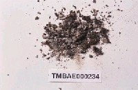 藏品(卷葉濕地苔)的圖片